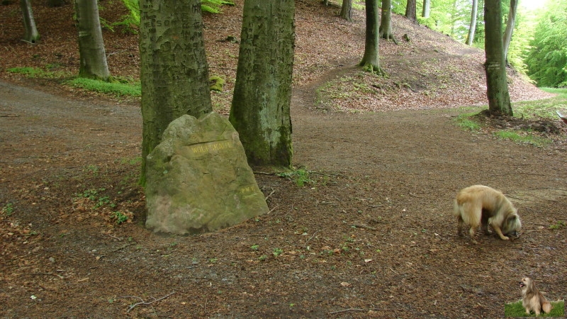 Ritterstein Nr. 147-3 Wolfskaut.JPG - Ritterstein Nr.147  Wolfskaut                               
